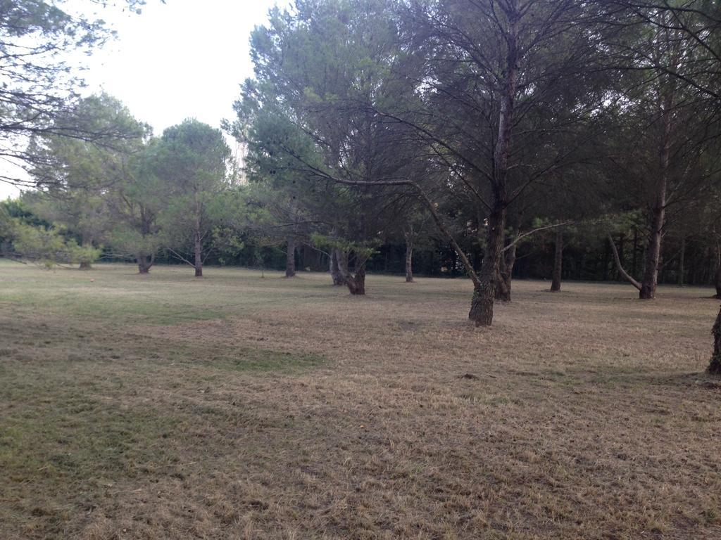 Le Mas De Trevouse Saint-Saturnin-les-Avignon Bagian luar foto