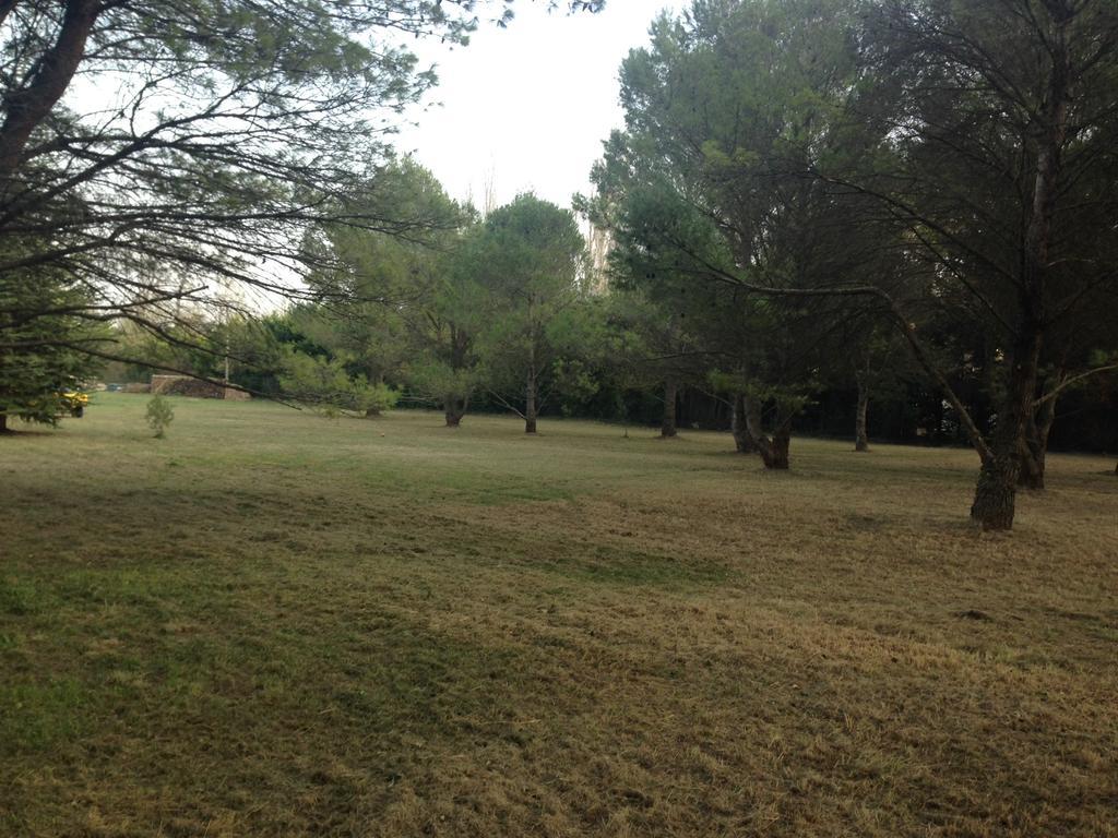 Le Mas De Trevouse Saint-Saturnin-les-Avignon Bagian luar foto